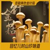 香勤有机黄色金针菇 有机种植  200g/盒【顺丰快递】 商品缩略图1