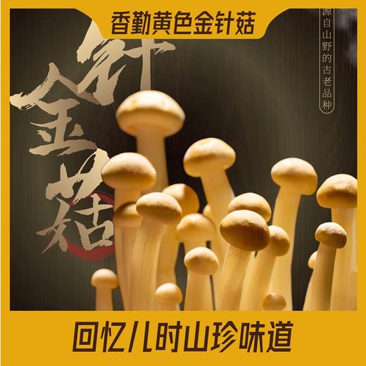 香勤有机黄色金针菇 有机种植  200g/盒【顺丰快递】 商品图1