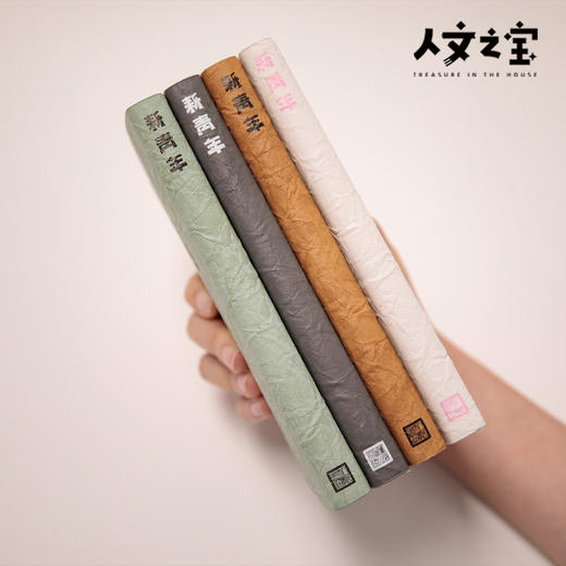 【人文之宝】新青年系列·pu皮笔记本 商品图1