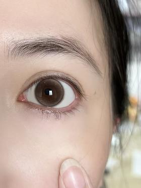 wonder is半年抛美瞳 柔焦法则 14.5mm