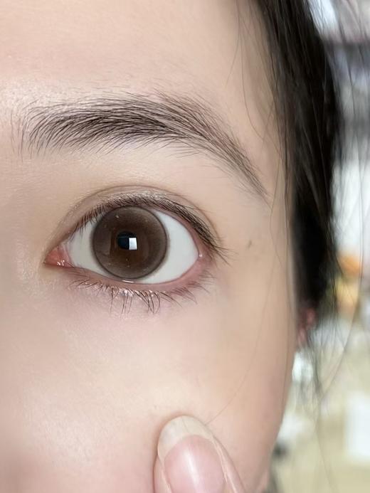 wonder is半年抛美瞳 柔焦法则 14.5mm 商品图0