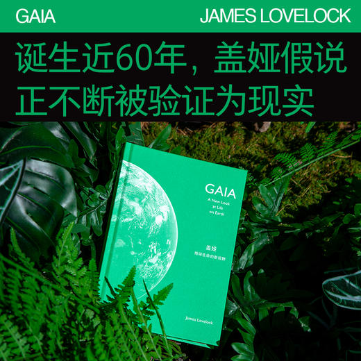 盖娅：地球生命的新视野（以古希腊神话中大地女神命名的科学思想） 商品图1