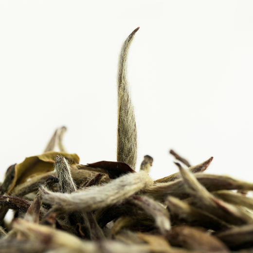 2021 甄选银针精品罐装40G 商品图2