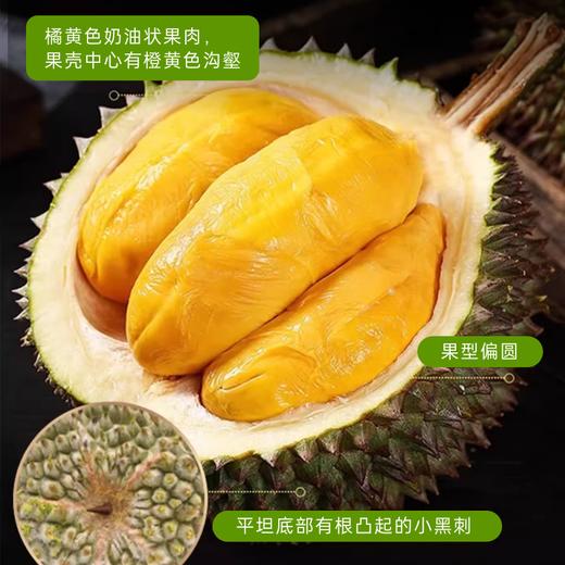 『叻油榴』马来西亚进口黑刺榴莲D200液氮冷冻整果AA级包装精美送礼推荐 商品图5