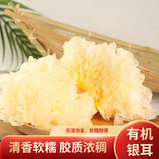 沈佳农有机鲜银耳  有机种植新鲜蔬菜菌菇软糯煲汤食材无硫熏【顺丰快递】 商品图0