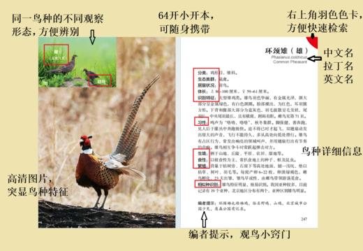 北京地区常见鸟类便携手册 商品图3