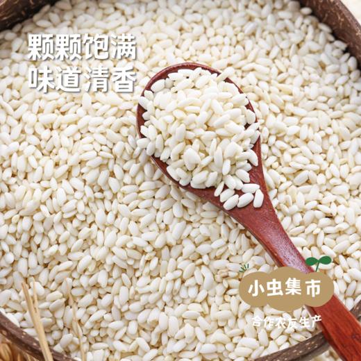 【2025年秋收新粮】生态香禾糯米 500g/袋 | 合作农友生产，来自贵州黎平洋洞村，生产者：杨邦荣 &【公平贸易农人定价】 商品图1