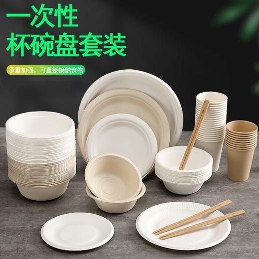 【升级加厚！一次性杯碗盘套装】聚会套装可降解纸碗餐具吐骨碟盘子圆盘户外杯子套装。rb 商品图0