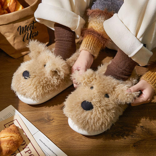 【YW】无忧购59元2双冬季保暖男士居家外穿包跟棉拖鞋清仓合集（截单后3-5天发货) 商品图5