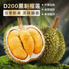 『叻油榴』马来西亚进口黑刺榴莲D200液氮冷冻整果AA级包装精美送礼推荐 商品缩略图2