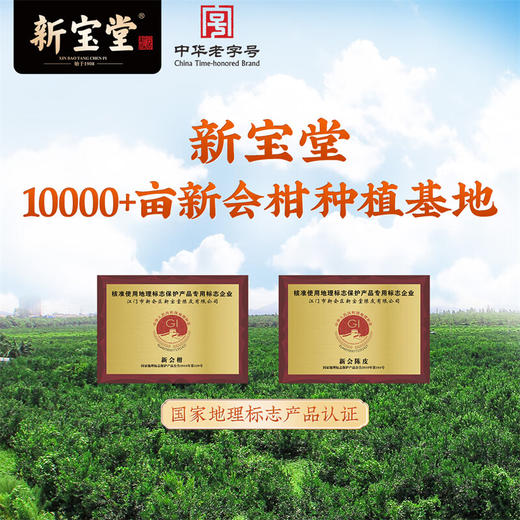 【新宝堂】十五年陈皮蕴月瓶【LXKGZQ8.0】 商品图2