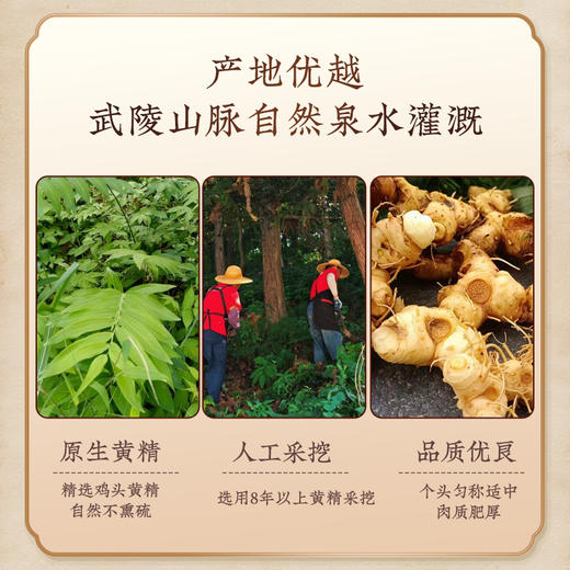 陈力新 新黄精抱枣 软糯甘甜 胶质丰润 100g*2盒 商品图3