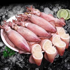 【满籽笔管鱼】带籽率高达95%肉质劲道 饱满弹嫩