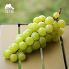 生态阳光玫瑰葡萄（江浙沪皖包邮，江苏） | 合作生产 * Ecological Grapes（Sunshine rose） | Coproduction 商品缩略图1