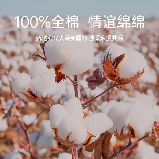 臻品系列全棉刺绣禧嫁四件套(最美喜事) 商品图3