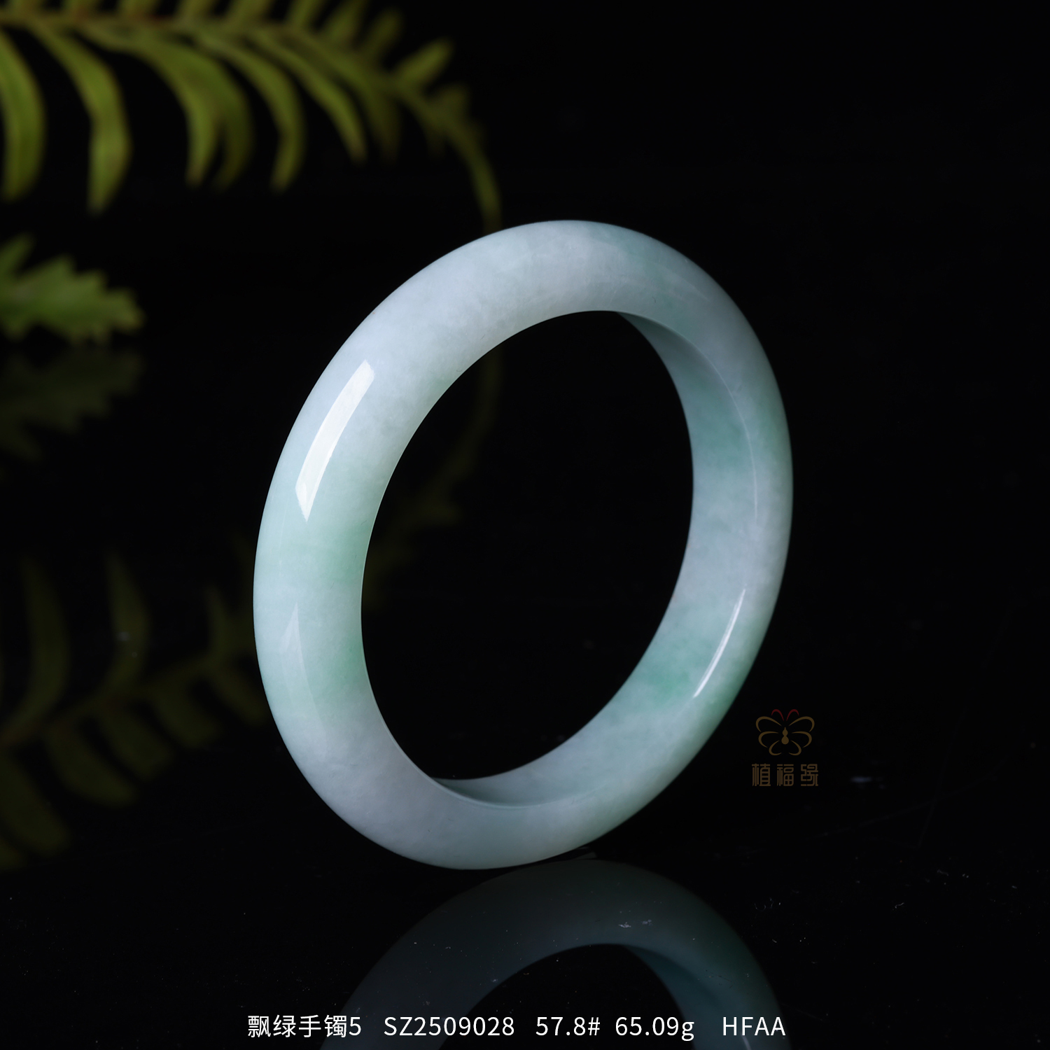 【揽月】飘绿手镯5   SZ2509028