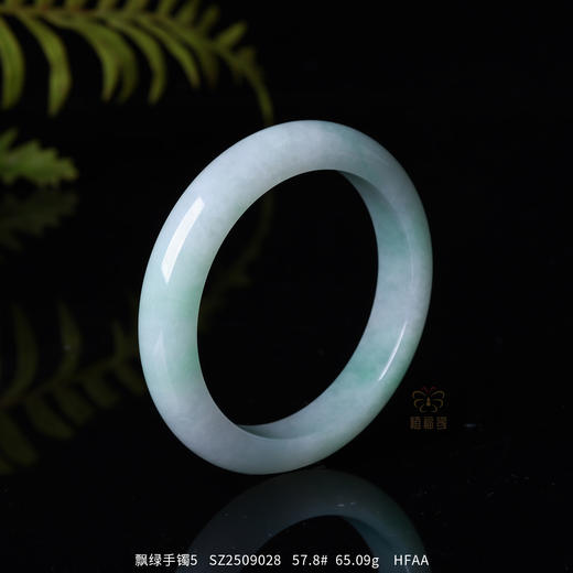【揽月】飘绿手镯5   SZ2509028 商品图0