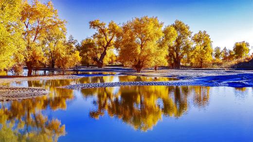 金秋南疆摄影团10—13天：塔里木胡杨、葫芦岛胡杨、温宿大峡谷、喀什古城、慕士塔格峰、白沙湖、盘龙古道、石头城金草滩 商品图1