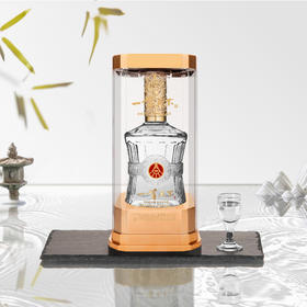 五粮液 一尊天下52°国标优级浓香白酒 送礼佳选 500ml/瓶