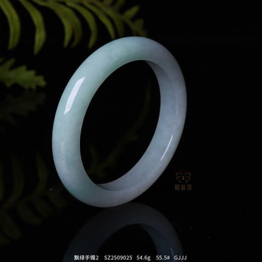 【润月】飘绿手镯2    SZ2509025 商品图1
