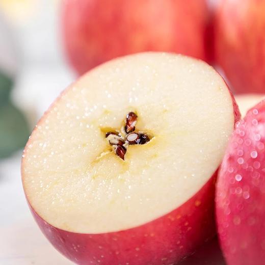 德力邦有机苹果有机红富士苹果  陕西渭北有机种植当季新鲜水果【德邦快递送货上门】 商品图4