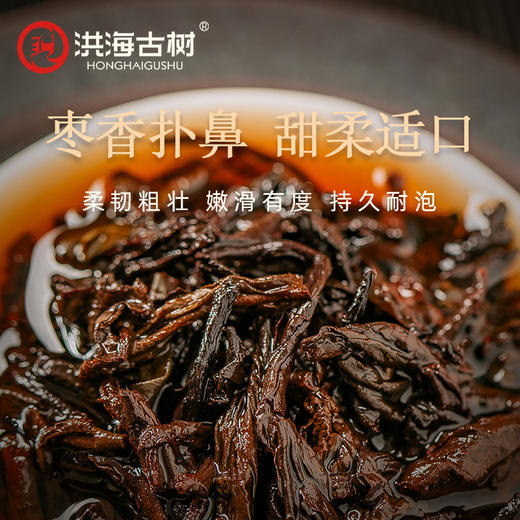 洪海古树大布朗-普洱茶【熟茶】紧压茶 商品图4
