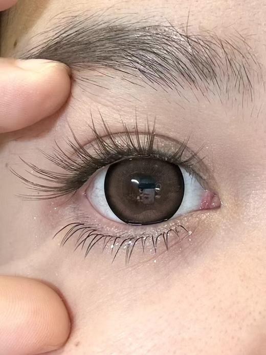 macycon月抛美瞳 萌萌贵宾 14.5mm 商品图0