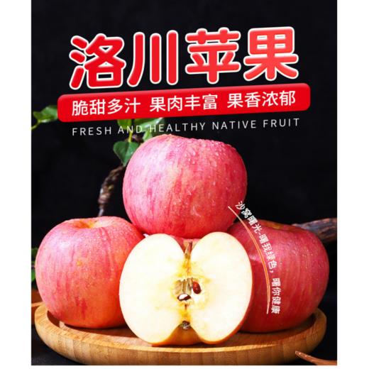 洛川富士苹果4.5kg 商品图0