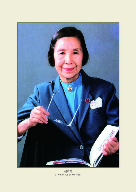 守护天使：胡亚美传 商品图4