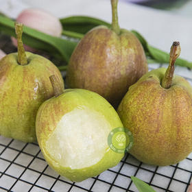 半亩园PLUS库尔勒香梨  生态种植当季新鲜水果【顺丰包邮】