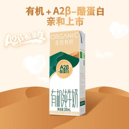 圣牧有机A2β-酪蛋白纯牛奶全脂灭菌乳利乐苗条200ml*10包*2提 商品图3
