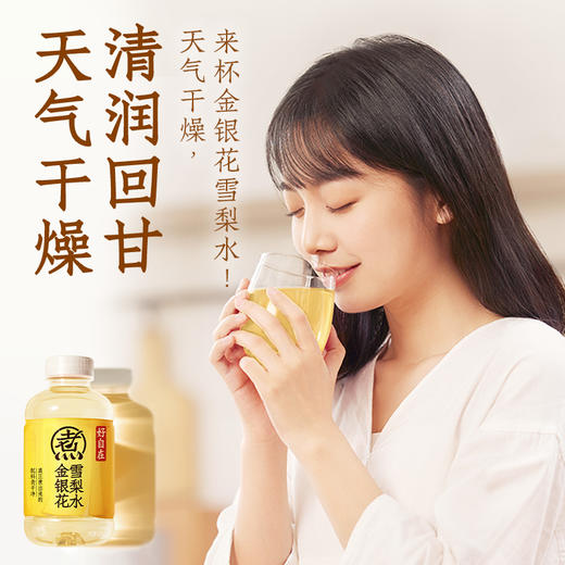 元气森林 好自在金银花雪梨水500mL*15 甄选食材 清润回甘 久喝不腻 48小时发货 商品图3