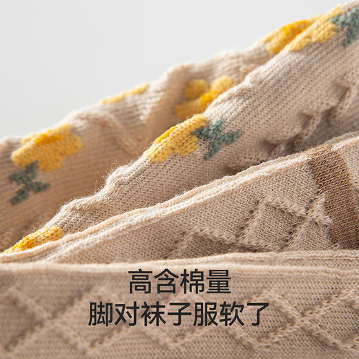 耐尔 精梳棉驼绿花朵组合女袜 E2704B 商品图3