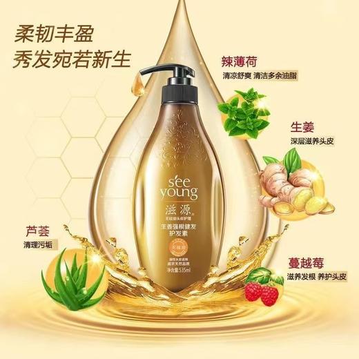 滋源生姜强根健发护发素（油性）效期25年12月 商品图4