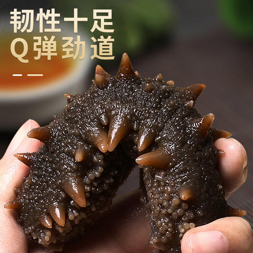 【即食海参】肉质厚实 色泽靓丽 参刺挺拔 品质任您对比! 商品图2
