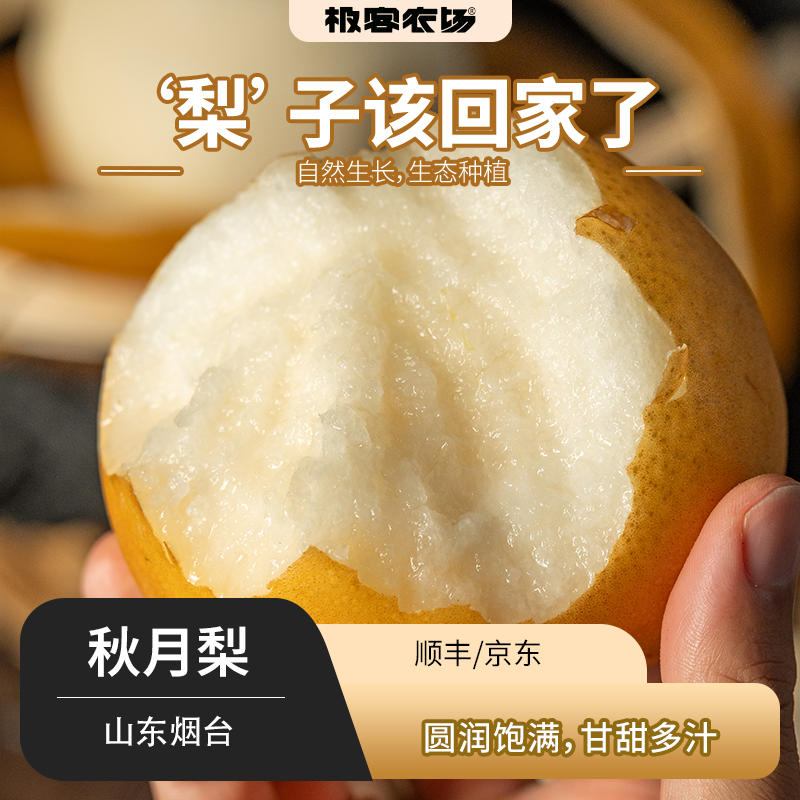 极客秋月梨丨正宗莱阳秋月梨，极客标准只做头茬大果，甜度高，化渣率高！⭐️京东顺丰快递
