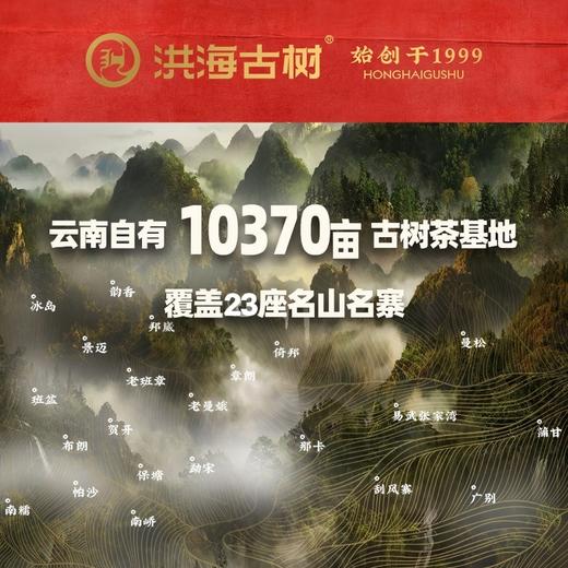 洪海古树大布朗-普洱茶【熟茶】紧压茶 商品图5