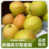 京鲜生新疆库尔勒香梨 净重4.5斤单果120g+ 新鲜水果 源头直发包邮 商品缩略图4