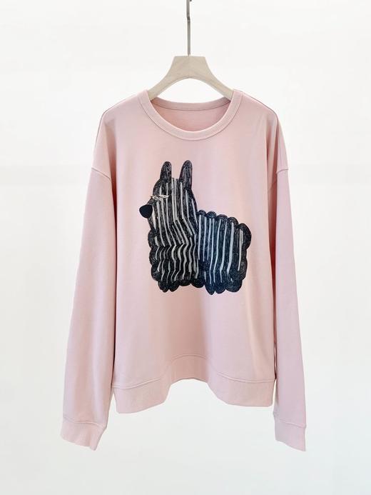 【高品质私服】【JN狗狗图案套头粉色卫衣】柔软舒适 | 挺括性好 | 质地细密G1564-CC【无标出货 介意慎拍】 商品图5