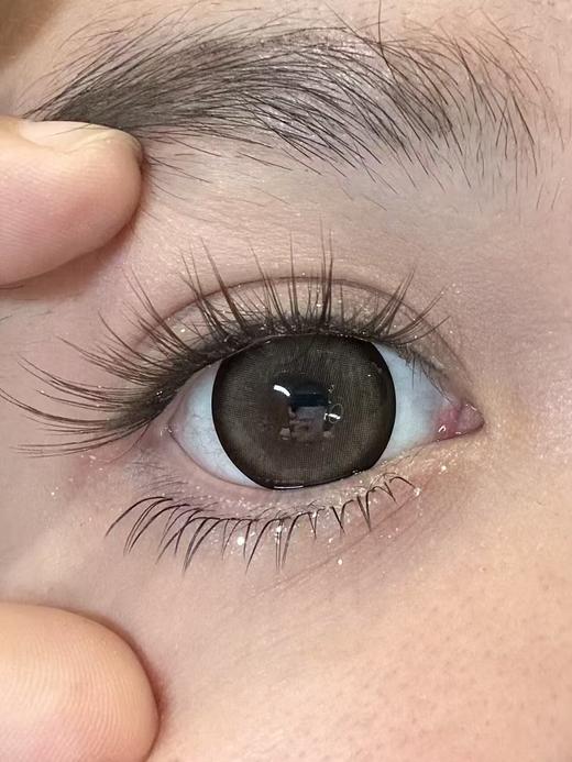 macycon月抛美瞳 芝士小狗 14.5mm 商品图0