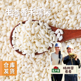 【2025年秋收新粮】生态香禾糯米 500g/袋 | 合作农友生产，来自贵州黎平洋洞村，生产者：杨邦荣 &【公平贸易农人定价】