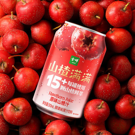 聚便利 X 山姆 金晔 山楂满满山楂汁 310ml*1罐 商品图2