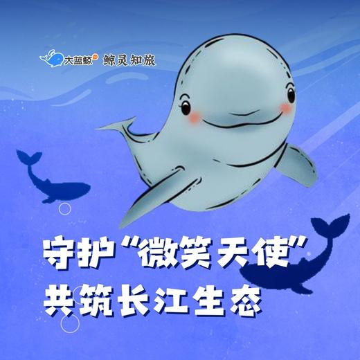 大蓝鲸爱研学 |【半日营】守护“微笑天使”，共筑长江生态（本次活动将获得公益志愿时长1.5小时） 商品图0