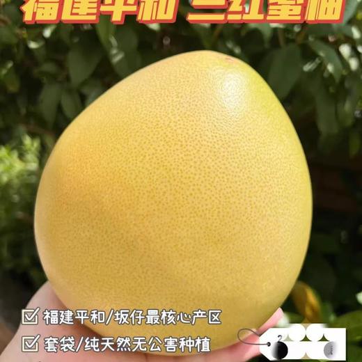 平和三红柚2个装礼盒约4斤 商品图1