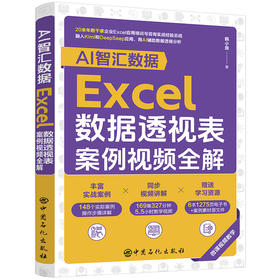 【官方旗舰店】AI智汇数据：Excel数据透视表案例视频全解 20余年数千家企业Excel应用培训与咨询实战总结融入Kimi和DeepSeek