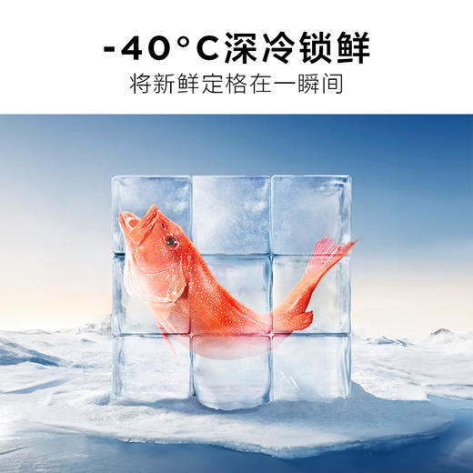 【新品上市】TCL 522升十字对开四开门超薄零嵌大容量冰箱 全自动制冰 深冷锁鲜 R522T9-UQB 商品图5