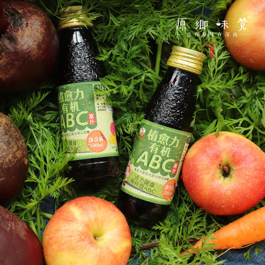 有机ABC果蔬汁（基地直发-京东包邮）|100ml*16瓶/箱，来自云南昆明，生产者：王建均【合作生产，公平贸易】 商品图10