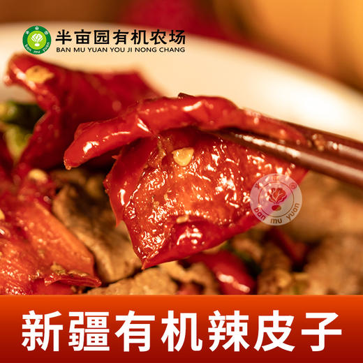 半亩园新疆有机辣皮子200g*2袋 商品图3