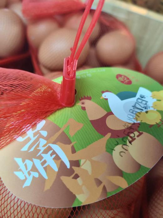 华亿优选-蚕蛹蛋（1兜） 商品图0