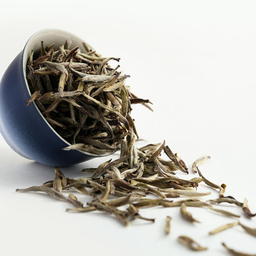 2021 甄选银针精品罐装40G 商品图4